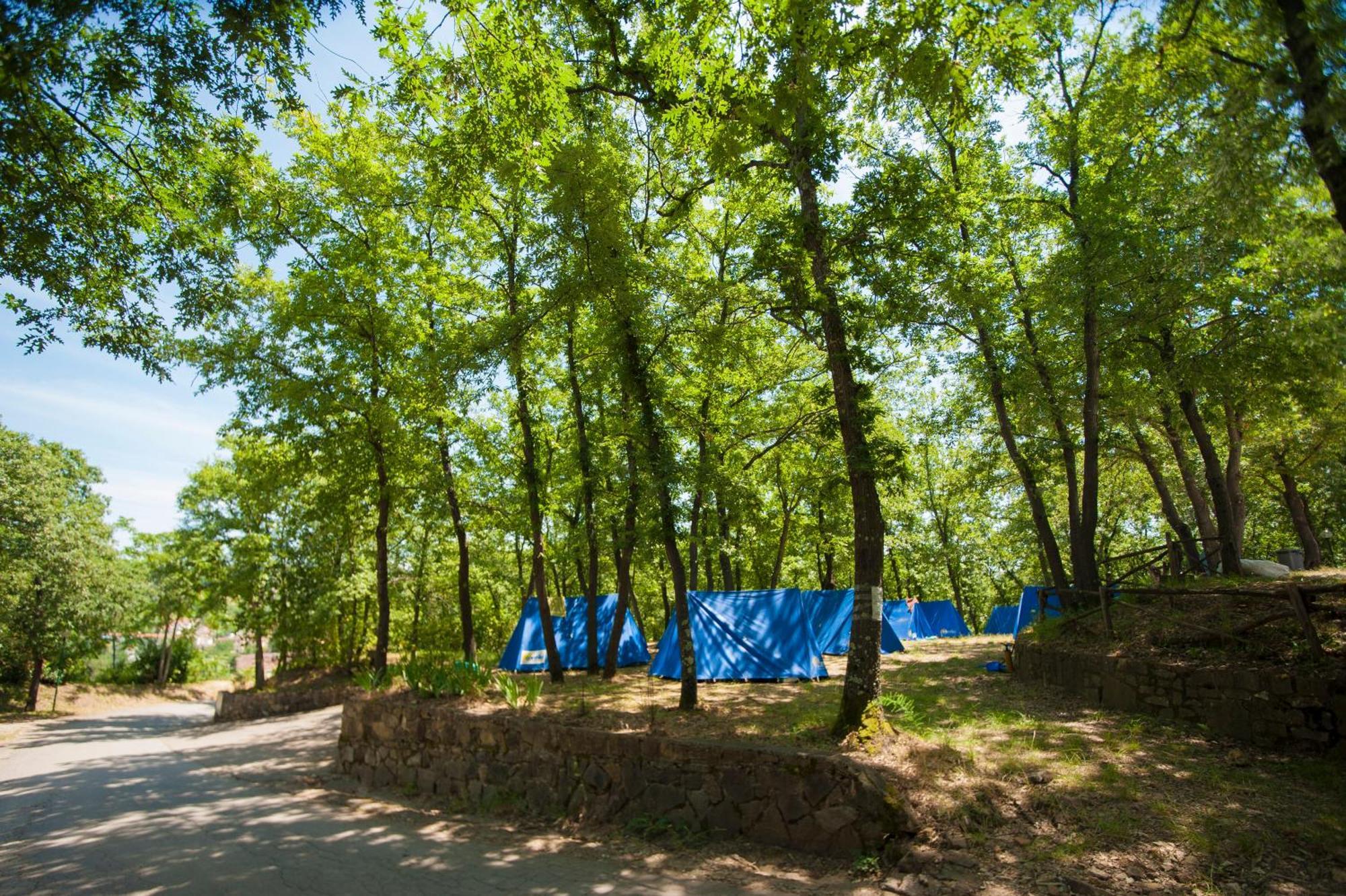 Hu Firenze Certosa Camping In Town Импрунета Экстерьер фото